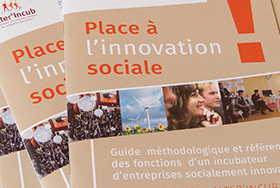 Guide incubateur
